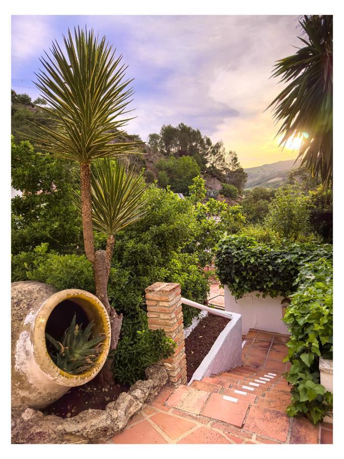 Molino Del Santo Benaoján Exterior foto